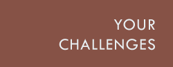 Your Challenges
