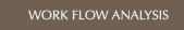 Work Flow Analysis