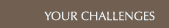 Your Challenges
